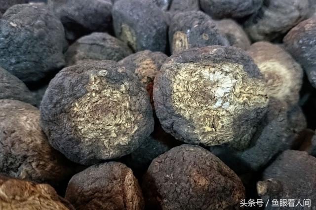 玛卡只能调节荷尔蒙达到正常水平 但副作用不容忽视（玛卡有雌激素吗）