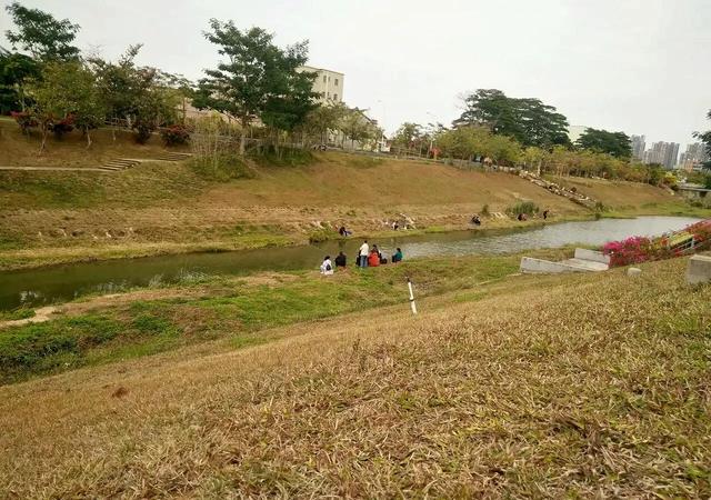 深圳这3个地方真是绝了，无门票，可以露营，还可以免费钓鱼哦（深圳免费露营的地方吗）