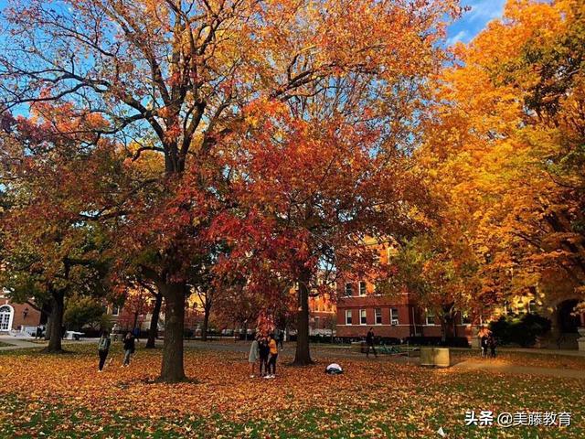 聊一聊加州大学圣地亚哥分校（加州大学圣地亚哥分校和圣地亚哥大学）
