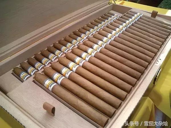 10款你可能从没品尝过的雪茄（10款你可能从没品尝过的雪茄品种）