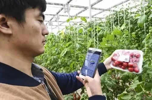2020年 农业农村部重点扶持这样28个项目（2020年农业局有什么扶持项目）