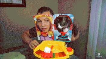 恶搞玩具_主人和猫咪玩恶搞玩具，结果猫脸被砸满蛋糕：好好活着不好么？