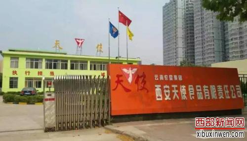 天使土豆片_天使牌土豆片4个月前46件不合格产品已被全部召回（天使土豆片老包装）