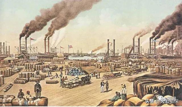 棉花共和国_棉花为什么是撬动世界史的神奇植物（我们平时说的棉花是植物来的花吗）