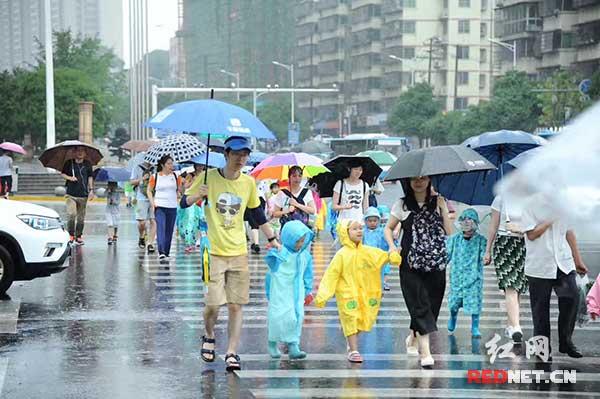 金色梯田幼儿园_金色梯田幼儿园别样六一 亲子徒步五公里（金色梯田幼儿园金地园）