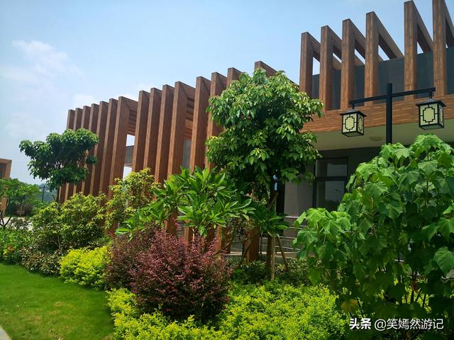 南宁有个负离子超高的森林公园，还能住宿烧烤搞拓展，公交直达（南宁高峰森林公园烧烤）