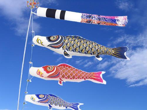 茂森日语分享_你不知道的日本节日—こどもの日