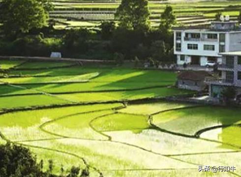 农民工的创业项目有哪些？
