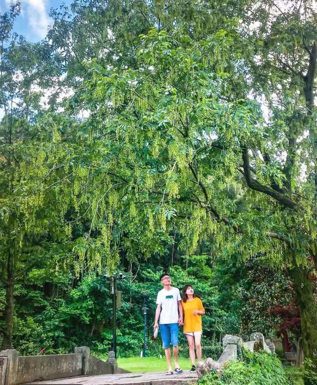 宁波的三个小众拍照胜地，满屏小清新，约上好友一起出发吧（宁波小众有趣的地方）