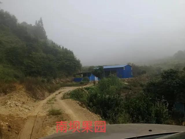 我的创业历程（我的创业历程范文）