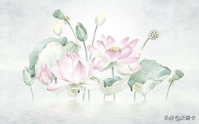 佛教四大吉花之莲花（佛教各色莲花）