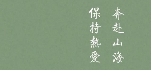 70部高质量宝藏综艺/纪录片汇总，提升自我打开格局（央视综艺宝藏）