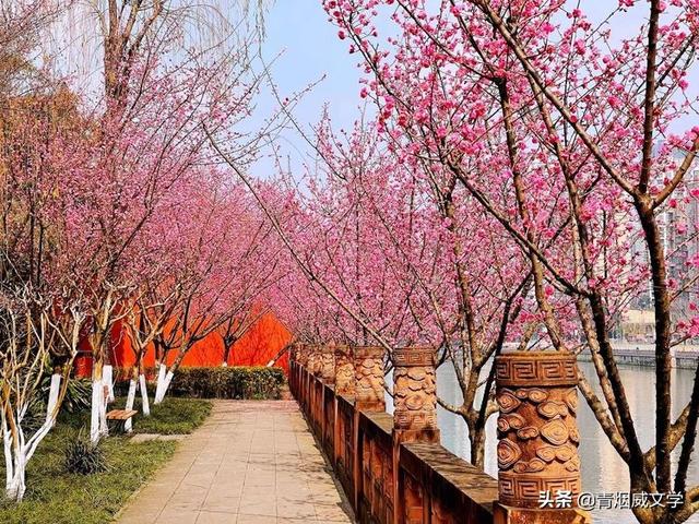 古风诗｜春风物语嫣 草木诗华年（五首）