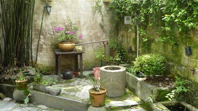 5种果树能“守家”，果子红彤彤挂满枝，寓意极好（各种果树的寓意）