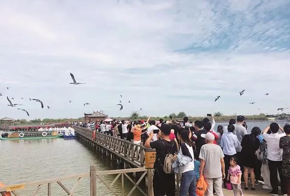 中国东营那些好玩又好看景点：黄河口，揽翠湖，黄河森林，桃花岛（东营桃花岛风景区在哪里）