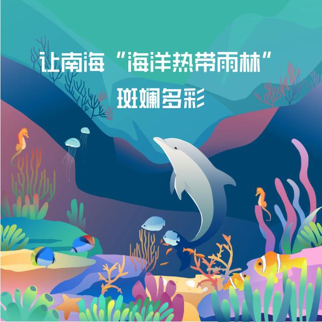 让南海“海洋热带雨林”斑斓多彩（海南热带雨林景点）