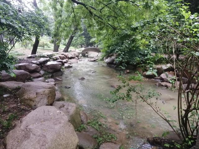 天雨～公园小河（雨天的公园）