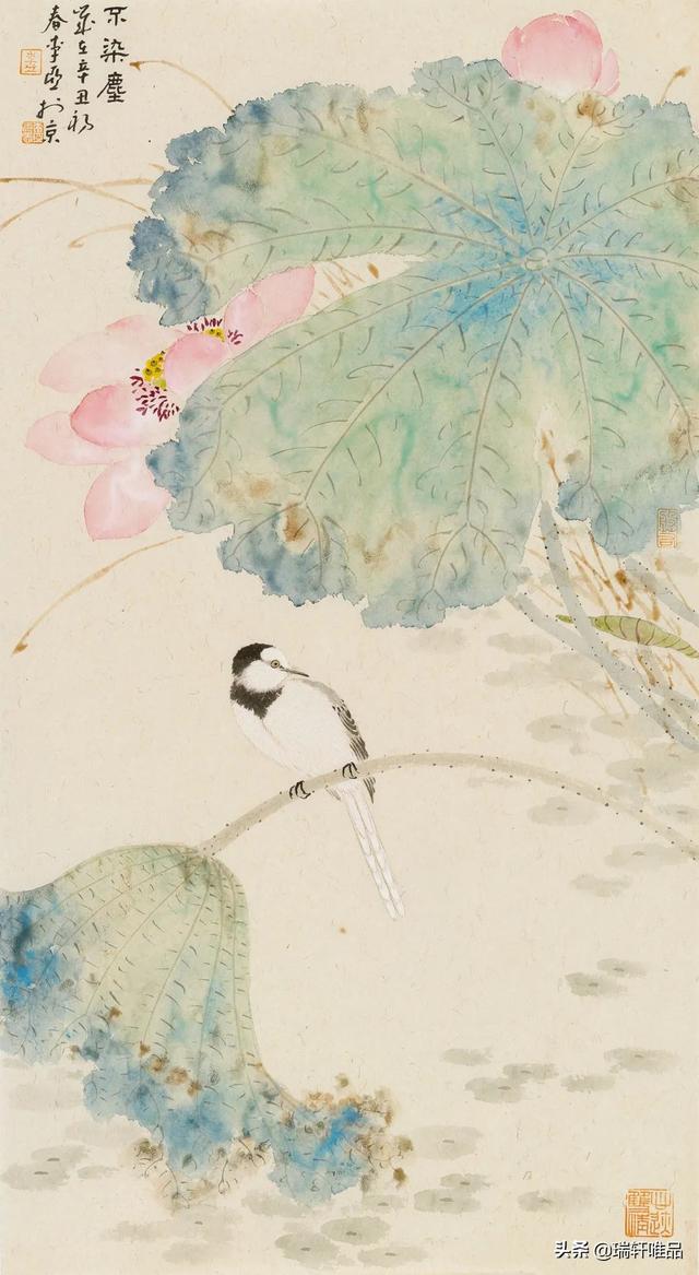 李亚·唯有莲花是知己