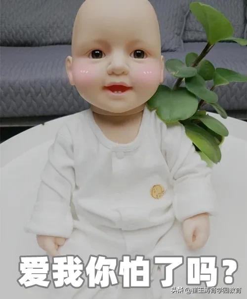 家有女宝必看