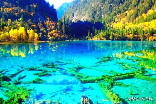 阿坝景点_阿坝十大景点排行榜，阿坝旅游必玩景点推荐（阿坝必去十大旅游景点）