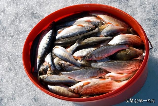 “入秋天，鱼儿鲜”，入秋多吃6种鱼，鲜嫩肥美，老人小孩都爱吃