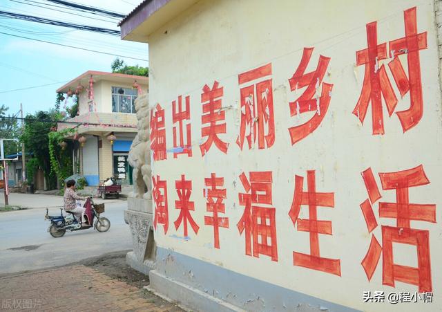 实在是不想打工了，想回农村创业，这些建议请你收下
