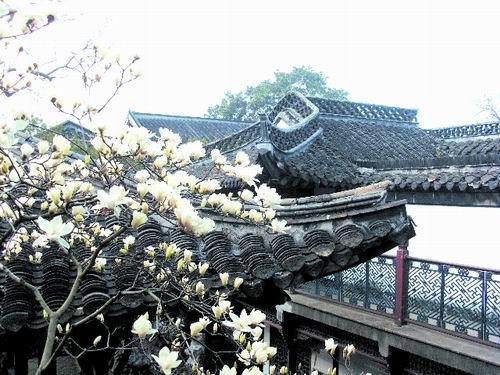 祚庥_何祚庥，一位有巨大争议的院士（何祚庥院士夫人）