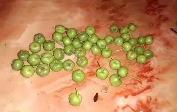 垃圾籽也玩出包浆，“穷玩”的最高境界