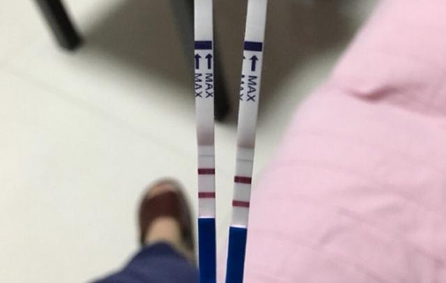 胎儿啥时候开始成为真正意义上的小宝宝？（胎儿什么时候开始形成）