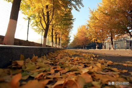 沈阳五金建材市场_侃侃而谈：逛沈阳，资深老沈阳银不得不去的16条特色街道（沈阳小十字街）