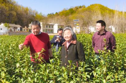 酵素农用 守护土壤健康——渭南顺天农用酵素科技有限公司