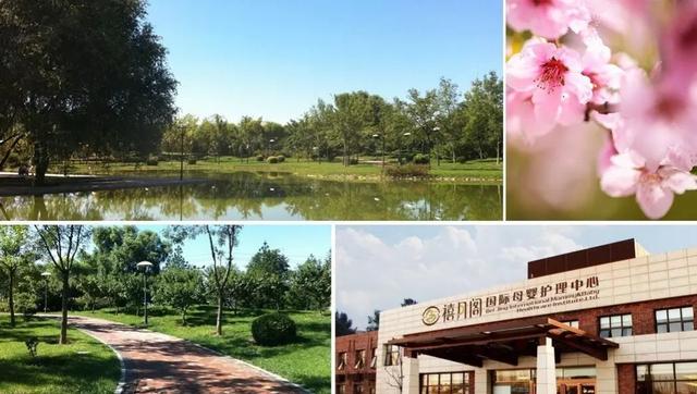 我为什么选择会所坐月子？（我为什么选择会所坐月子工作）