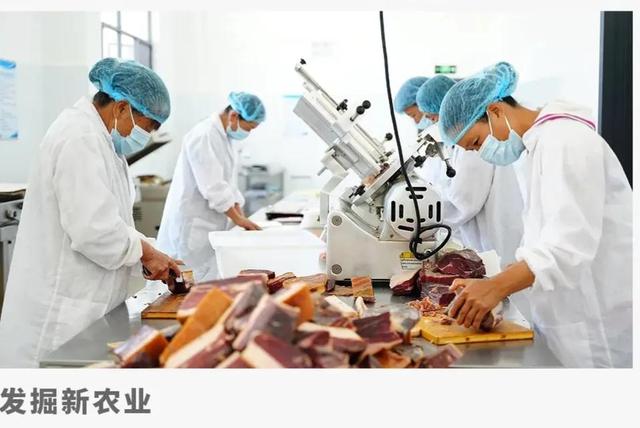我，返乡创业，年销售千万农产品（去年返乡入乡创业创新人员达1010万）