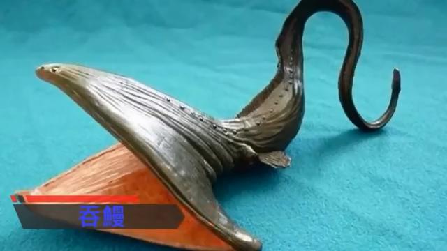 怪异生物_外表可爱却喜食脑，长相怪异被冠以撒旦之名，盘点那些奇特的生物