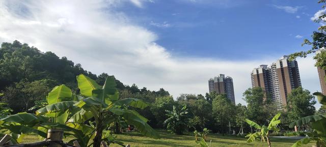自信的密码（自信的密码同样句式）