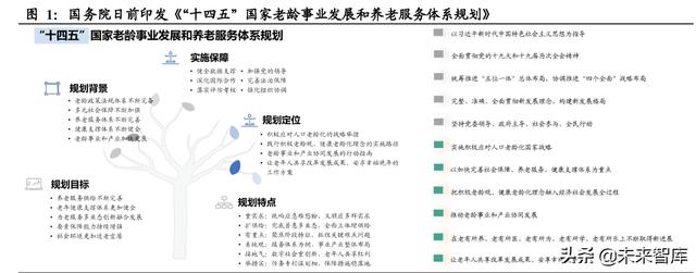 日本养老产业与适老用品复盘专题报告：适老产业助力乐享银发生活（日本养老产品进口）