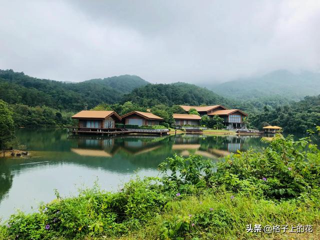 领导带着我们去爬惠州罗浮山，一行人花费超过千元。这风景确实美（题惠州罗浮山）