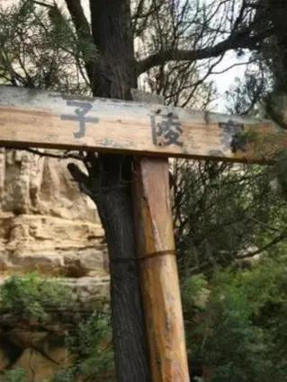 小武当_万一打造盘山公路被赞东部小武当（武当山盘山路）