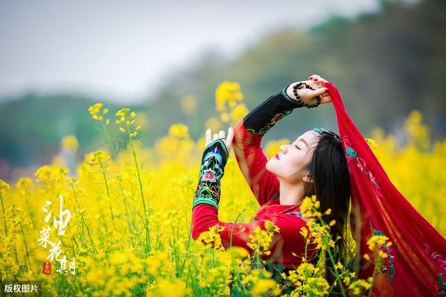 中国最美的油菜花海（全国最美油菜花海）