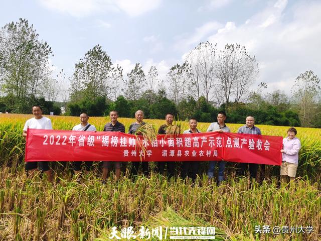 最高亩产881.96公斤（水稻亩产突破1000公斤）
