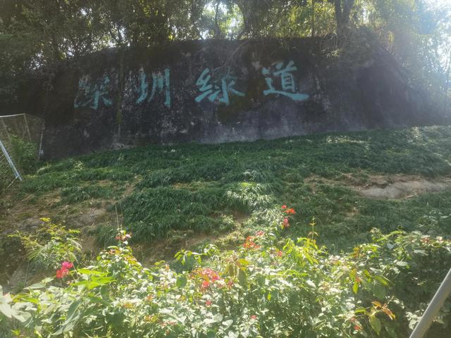 深圳最优绿道：长岭陂→梅林绿道（深圳市梅林绿道）