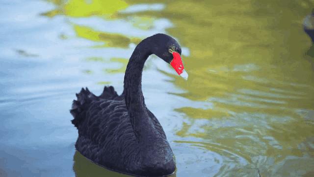 武汉旅游景点_武汉遛娃圣地｜亲子｜采摘｜萌宠乐园｜古装穿越（武汉遛娃景点）