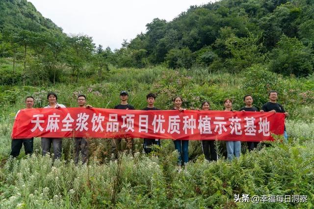 「返乡大学生创业项目」独摇之农业生物科技（南京）（大学生返乡创业种植业）
