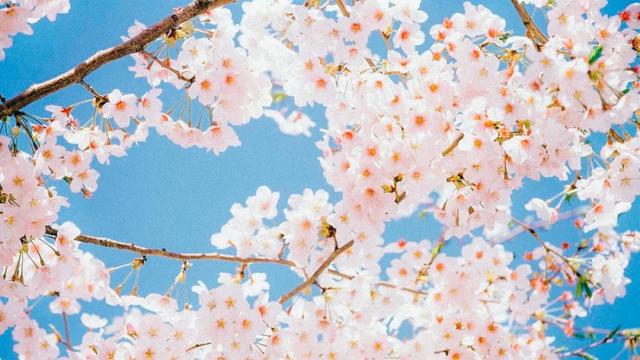 babyplus_在家就不用防晒吗？大错特错！12款防晒产品评测（防晒不防晒对比）