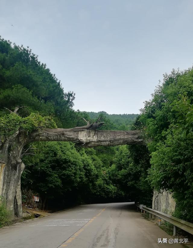 重庆市渝北区玉峰山，主城倾力打造的森林公园公交车可直达（重庆渝北玉峰山生态园）