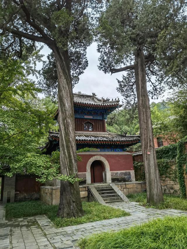 杳杳竹林寺（苍苍竹林寺什么意思）