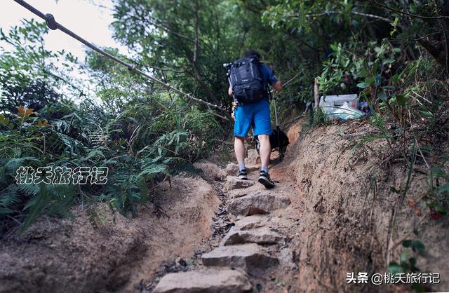 五一假期打卡，深圳一个小众景点，有山有水库，鸟瞰深圳第一高楼（深圳的一处美景）