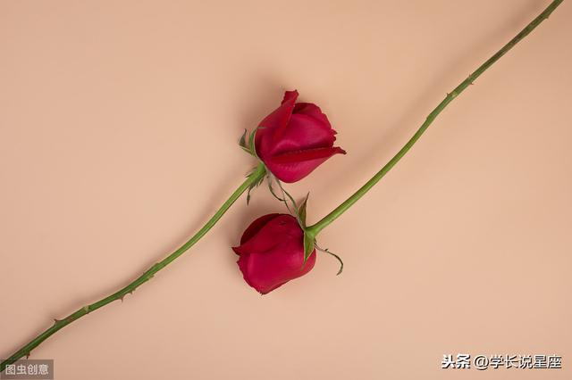 星座速配_12星座和什么星座最搭配，这些组合在一起后能永不分离（十二星座适合跟什么星座在一起）