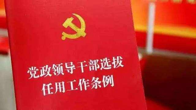 副省级城市的正局级是正厅吗？（副省级城市下设机构级别）