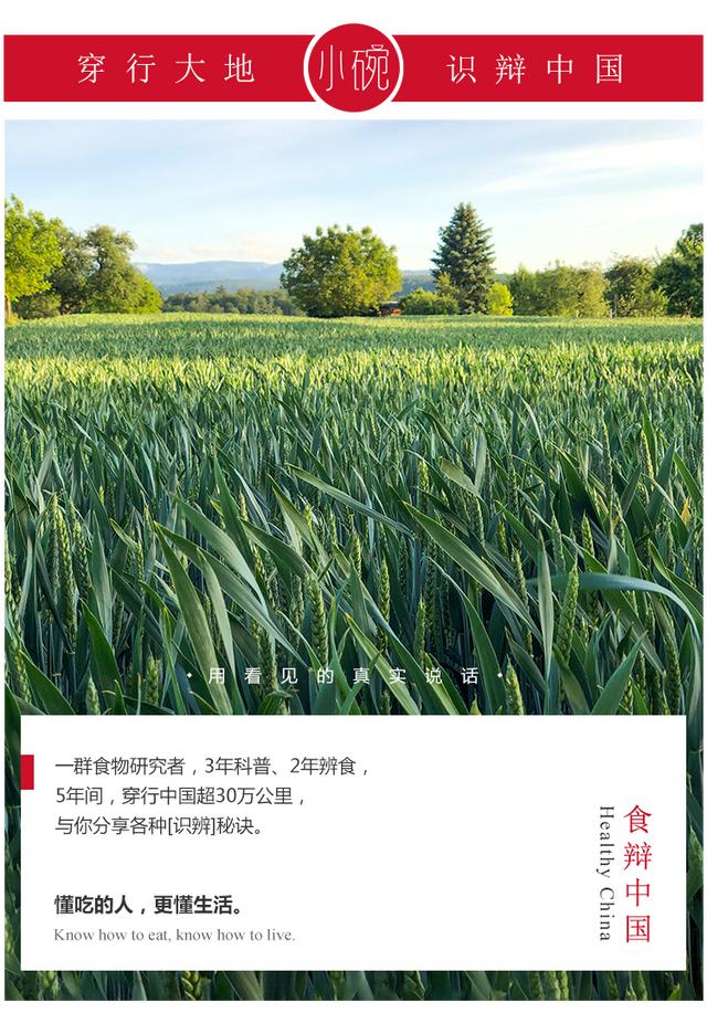 你吃的「粗粮饼干」80%都是假的，实际热量比五花肉还高（好吃点粗粮饼干一块热量）